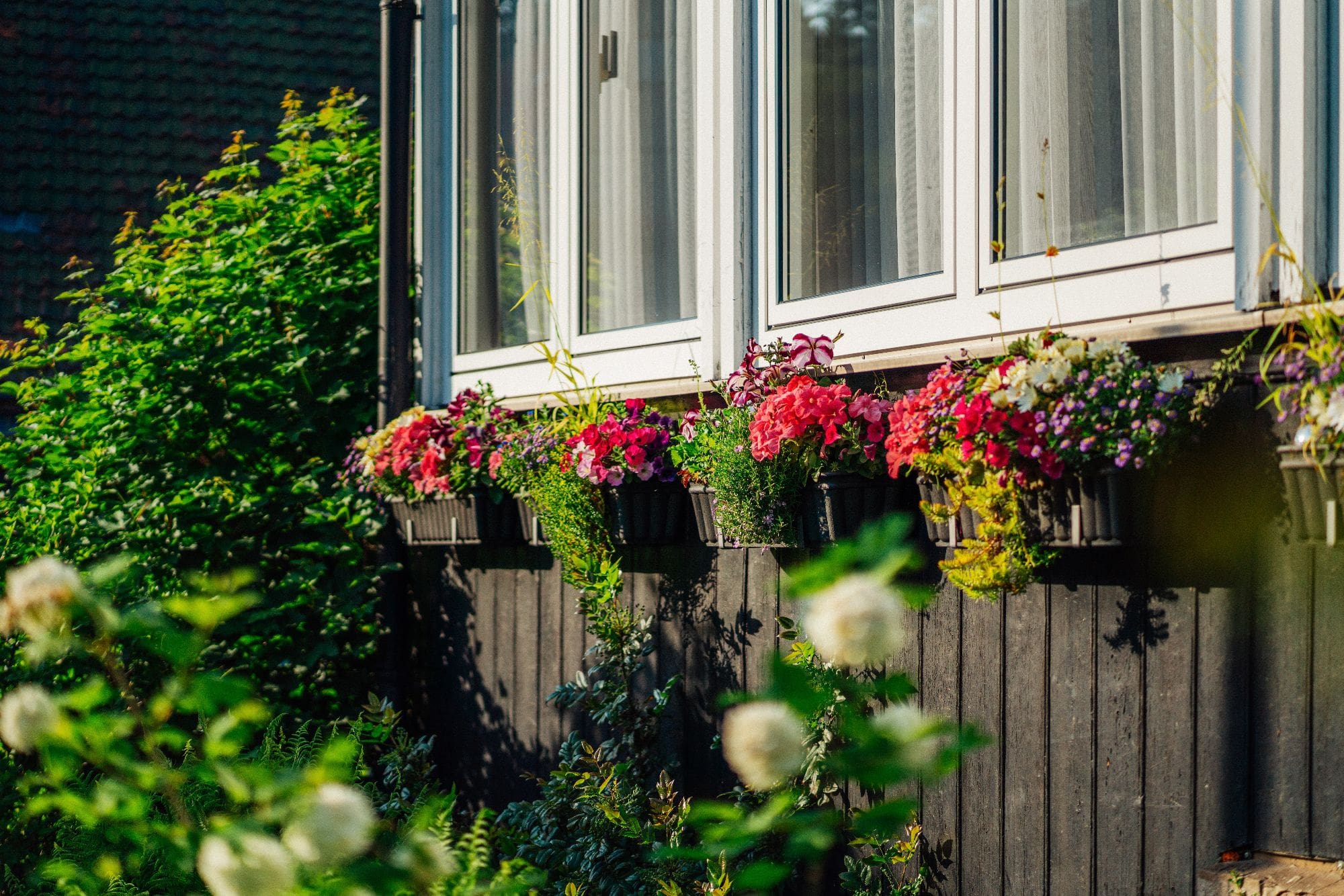 Fensterbrett mit Blumen